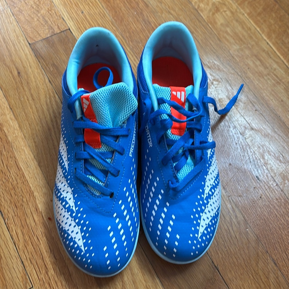 Adidas Indoor Soccer Shoes